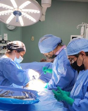 Slider image (7) Dra. Lissant De Los Santos Cordero